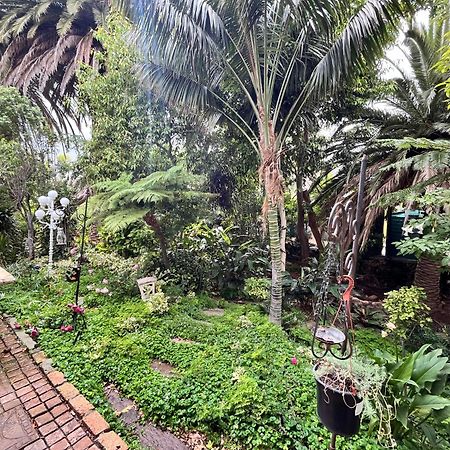 Somerset West Garden Apartments 1 Ngoại thất bức ảnh