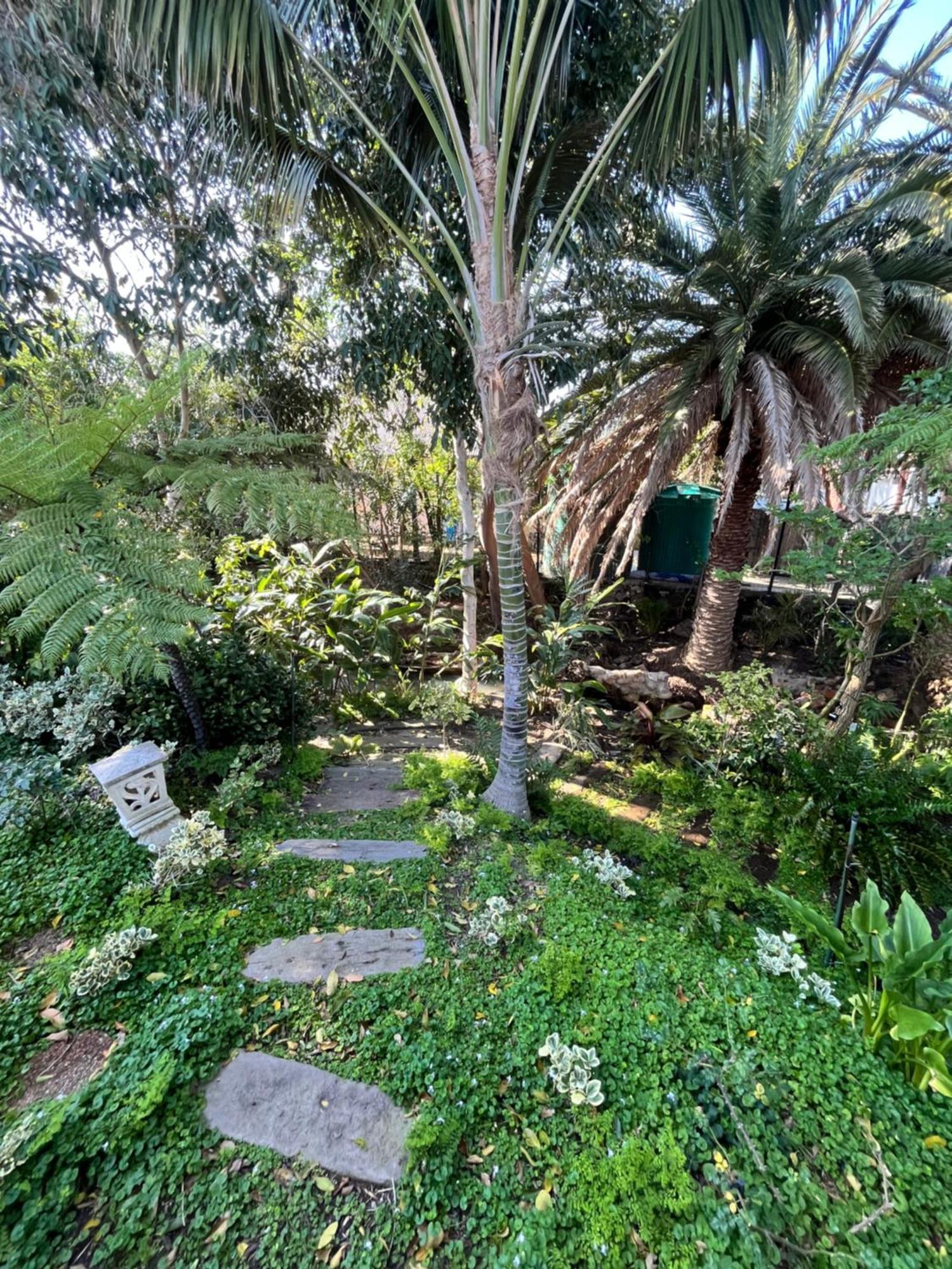 Somerset West Garden Apartments 1 Ngoại thất bức ảnh